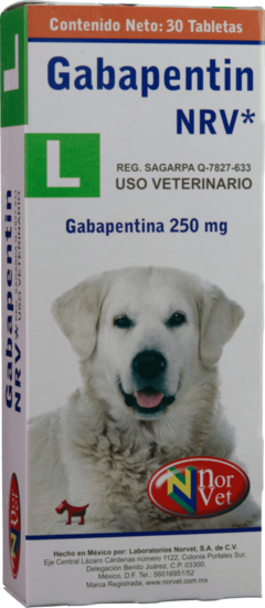 GABAPENTIN L NRV 250 mg 30 tabs