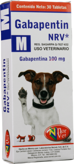 GABAPENTIN M NRV 100 mg 30 tabs
