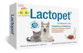 Lactopet Probioticos Oral 20 Cápsulas