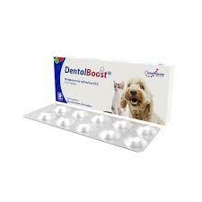 Dental Boost 100 tabletas - comprar en línea