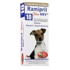 RAMIPRIL PLUS 10