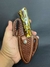 Faca Mini Campeira Reta Couro Inox Artesanal Boiadeira Amarela Boi - loja online