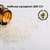 Aethusa cynapium 200CH