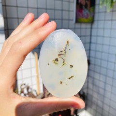 Sabonete artesanal de cedro e arnica: não me toque! | Fitoterápico