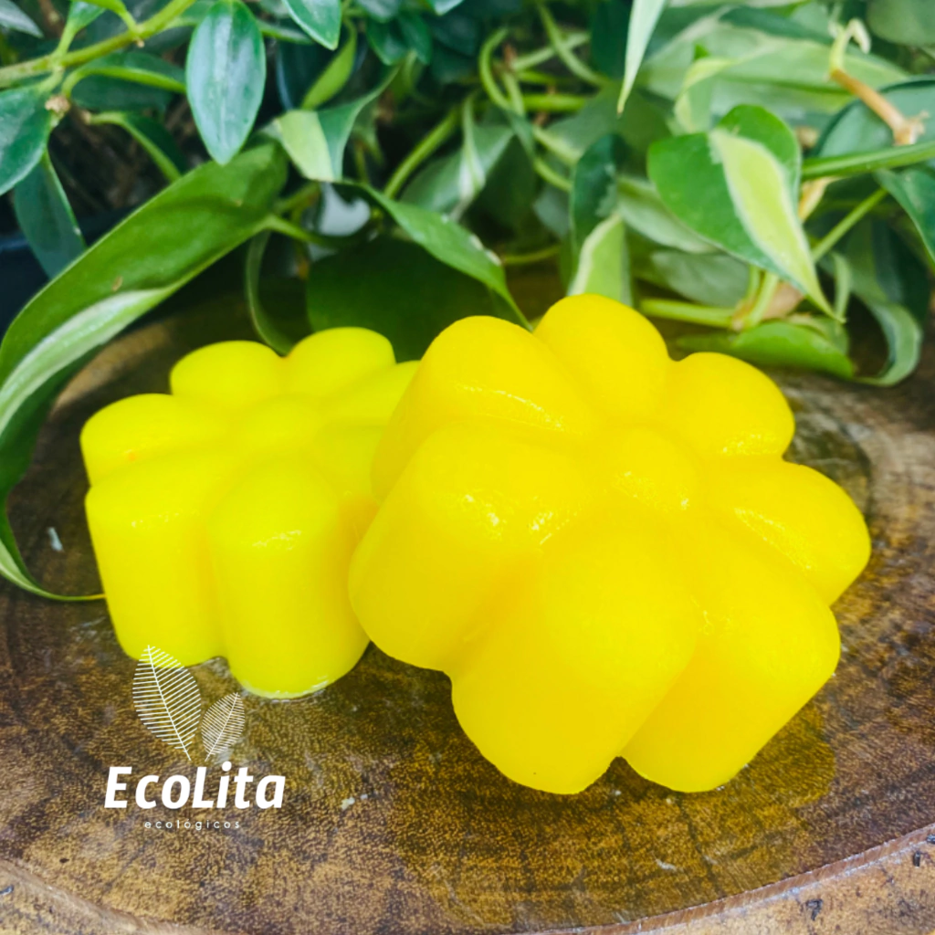 Xampu e condicionador de maracujá e girassol.