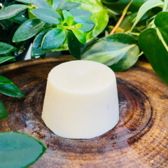 Desodorante sólido natural Xô Catinga | artesanal e vegano - ECOLITA