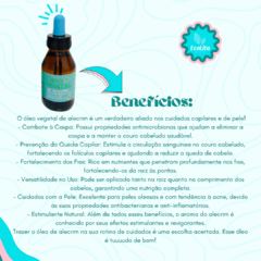 Óleo vegetal de alecrim | 100% natural. - ECOLITA