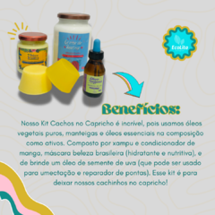 Imagem do Kit Cachos no Capricho | Hidratação e Definição + Brinde: Óleo de semente de Uva | Artesanais.