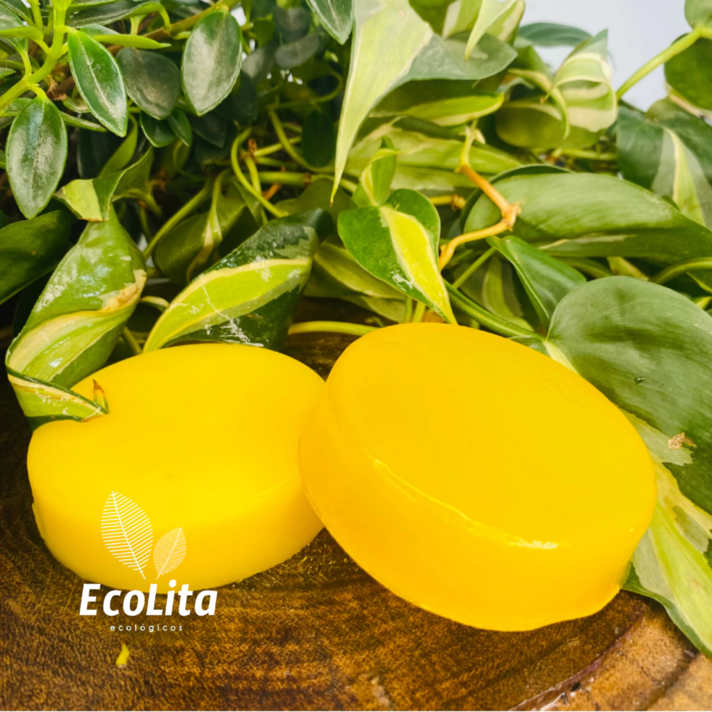 Xampu e condicionador sólido de manga.