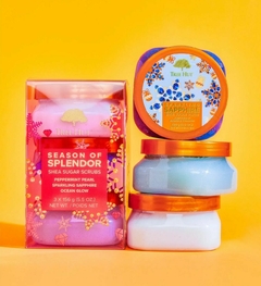 Trio Esfoliantes Tree Hut - Season Of Splendor - comprar online