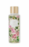 Body Splash Victoria's Secret - Santal Blossom