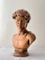 Escultura David
