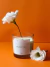Vela Calm - comprar online