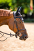 Touca TAEBonnets Focus Blue - loja online