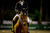 Touca TAEBonnets Focus Blue - True Ability Equus