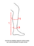 Kit Botina e Perneira de Hipismo TAEShortBoots+Chaps Eco - True Ability Equus