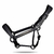 Placa Personalizada Cabresto TAEHalter - comprar online