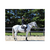 Manta TAESaddlePad Black - comprar online