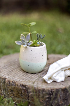 Ovo bicolor maceta - comprar online