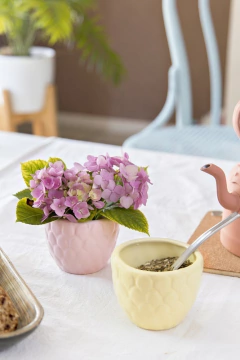 Pétalos maceta - comprar online