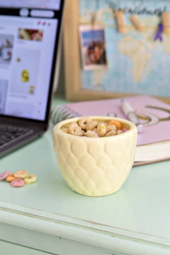 Pétalos maceta en internet