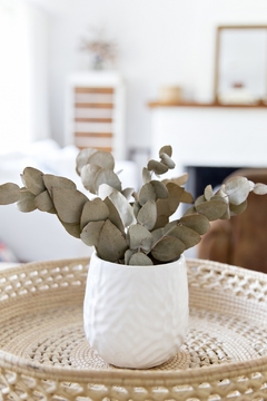 Marte grande contenedor - tienda online