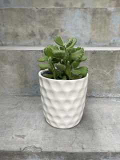 Imagen de Maceta Luna