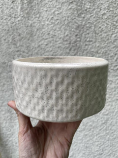 Neptuno grande contenedor en internet