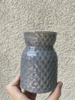 Imagen de Venus contenedor