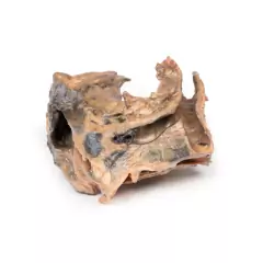 Modelo 3D de Corpo estranho inalado - traquéia