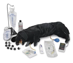 Simulador de Treinamento Avançado de RCP em cães - Sanitary CPR Dog