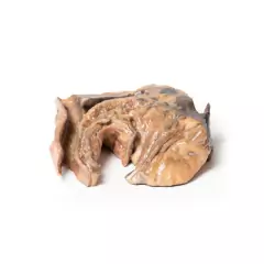 Modelo 3D de Corpo estranho inalado - traquéia - comprar online