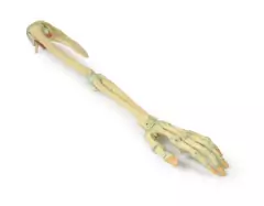 Modelo 3D de Ligamentos do Membro Superior