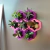 Plantinha de Geladeira - Ana Rosa (7 un) - comprar online