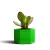 Suculenta Jade - Plantinha de Geladeira na internet