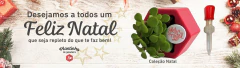 Banner da categoria > Kit Feliz Natal