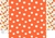 Recorte Necessaire Bia - 1 Painel faz 1 Necessaire - Modelo 9 - loja online