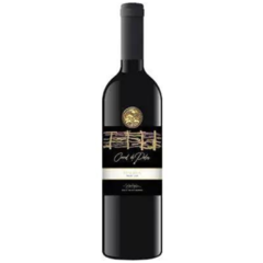 CORRAL DE PALOS RVA MALBEC