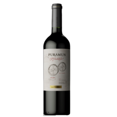 PEPE GALANTE · PURAMUN · COFERMENTADO