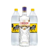 PROMO GORDON'S + 2 PASO DE LOS TOROS 1.5LT