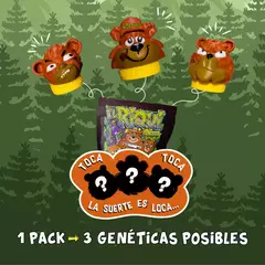 Imagen de 4x3 El Riqui Genetics