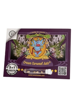 Cream Caramel Auto® SWS22 - comprar online