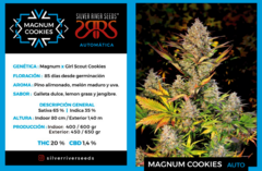Magnum Cookies Autofloreciente x5 Silver River Seeds - comprar online