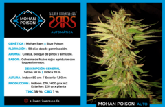 Mohan Poison Autofloreciente x5 Silver River Seeds - comprar online