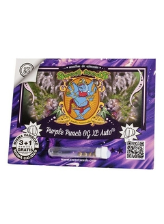 Purple Punch OG XL Auto® SWS96 - comprar online