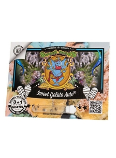 Sweet Gelato Auto® SWS76 - comprar online