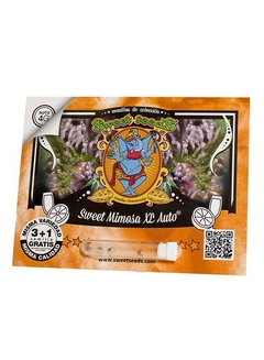 Sweet Mimosa XL Auto® SWS94 - comprar online
