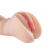 Imagem do Masturbador Masculino Formato Vagina 01 - SI