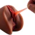 Masturbador Masculino - Vagina em Cyberskin - SI - comprar online