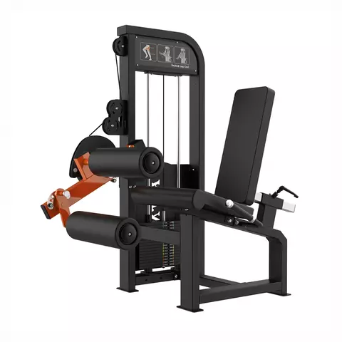 Siilon-De-Isquiotibiales